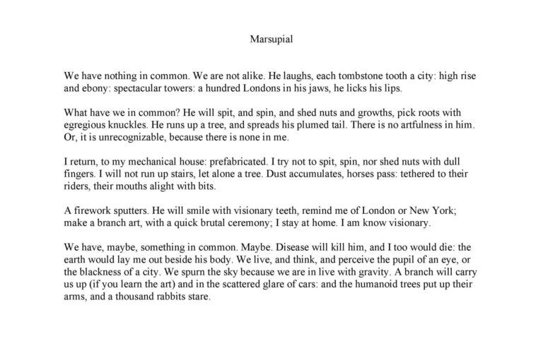 Marsupial We have nothing in common. We are not alike. He laughs, each tombstone tooth a city: high rise and ebony: spectacular towers: a hundred Londons in his jaws, he licks his lips. What have we in common? He will spit, and spin, and shed nuts and growths, pick roots with egregious knuckles. He runs up a tree, and spreads his plumed tail. There is no artfulness in him. Or, it is unrecognizable, because there is none in me. I return, to my mechanical house: prefabricated. I try not to spit, spin, nor shed nuts with dull fingers. I will not run up stairs, let alone a tree. Dust accumulates, horses pass: tethered to their riders, their mouths alight with bits. A firework sputters. He will smile with visionary teeth, remind me of London or New York; make a branch art, with a quick brutal ceremony; I stay at home. I am know visionary. We have, maybe, something in common. Maybe. Disease will kill him, and I too would die: the earth would lay me out beside his body. We live, and think, and perceive the pupil of an eye, or the blackness of a city. We spurn the sky because we are in live with gravity. A branch will carry us up (if you learn the art) and in the scattered glare of cars: and the humanoid trees put up their arms, and a thousand rabbits stare.